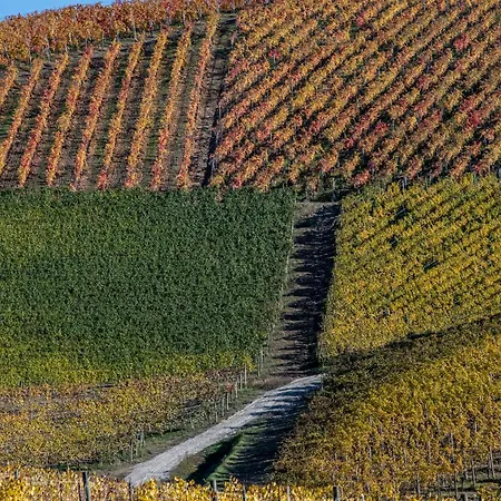 דירה Tomati's House *