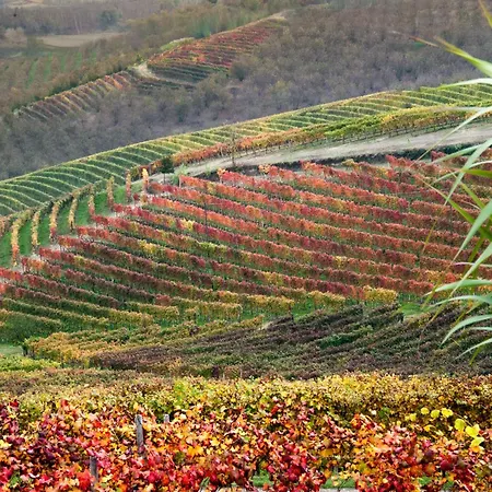 Tomati's House Διαμέρισμα