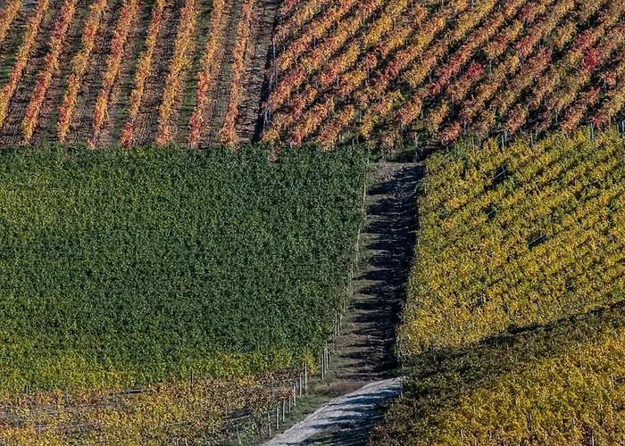 Lejlighed Tomati's House *