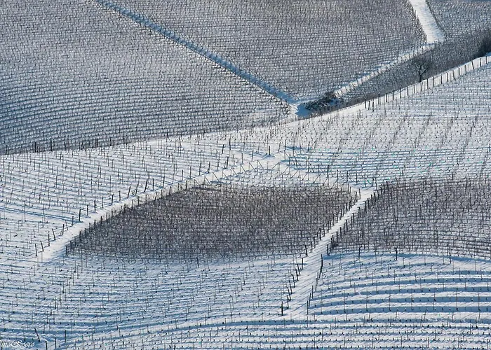 Lejlighed Tomati's House *